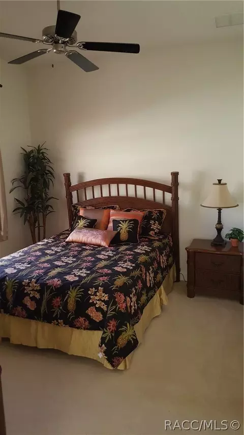 446 W Cobblestone Loop, Hernando, FL 34442 photo 31