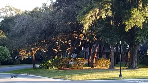 446 W Cobblestone Loop, Hernando, FL 34442 photo 6
