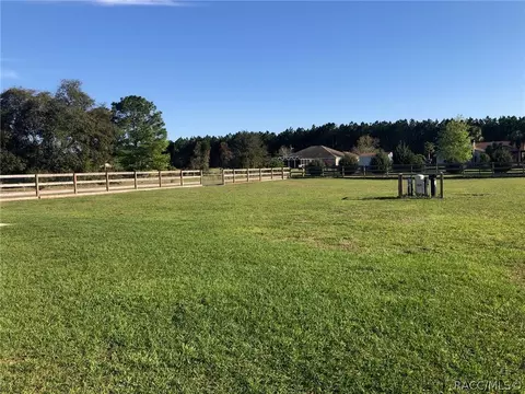 672 E Bismark St, Hernando, FL 34442 photo 29