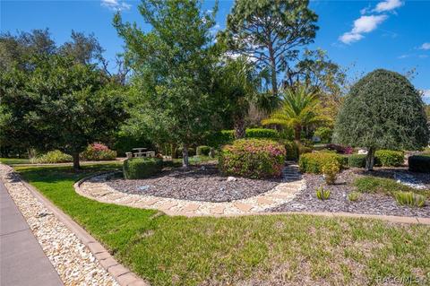 1658 N Dimaggio Path, Hernando, FL 34442 photo 35
