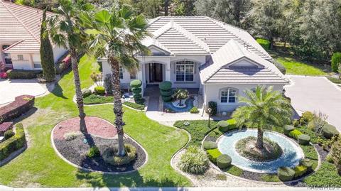 1658 N Dimaggio Path, Hernando, FL 34442 photo 36