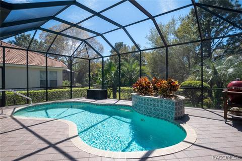 1658 N Dimaggio Path, Hernando, FL 34442 photo 4