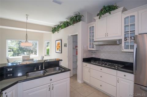1658 N Dimaggio Path, Hernando, FL 34442 photo 16