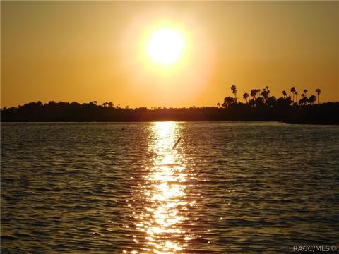 1658 N Dimaggio Path, Hernando, FL 34442 photo 50