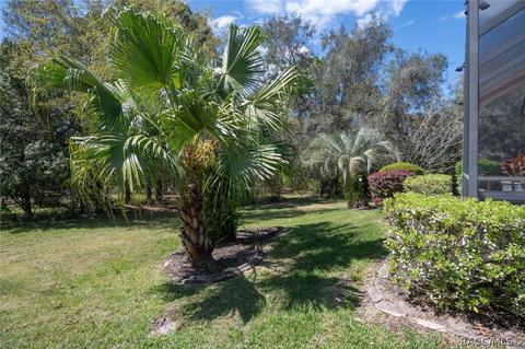1658 N Dimaggio Path, Hernando, FL 34442 photo 39