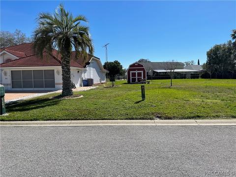 391 N Turkey Pine Loop, Lecanto, FL 34461 photo 5