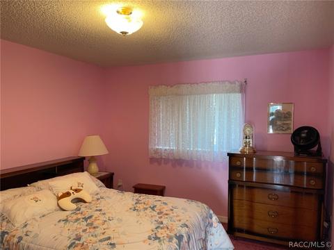 391 N Turkey Pine Loop, Lecanto, FL 34461 photo 40