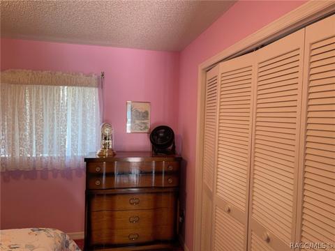 391 N Turkey Pine Loop, Lecanto, FL 34461 photo 41
