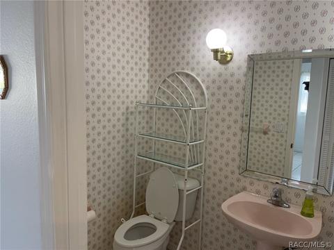 391 N Turkey Pine Loop, Lecanto, FL 34461 photo 42