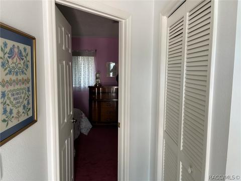391 N Turkey Pine Loop, Lecanto, FL 34461 photo 39
