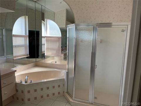 391 N Turkey Pine Loop, Lecanto, FL 34461 photo 17