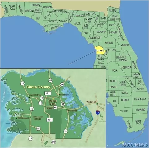 1020 W Olympia St, Hernando, FL 34442 photo 43