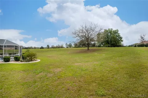 732 E Connecticut Ln, Hernando, FL 34442 photo 45