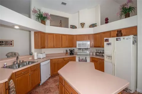 732 E Connecticut Ln, Hernando, FL 34442 photo 6