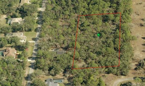 797 W Wheeling Ln, Hernando, FL 34442