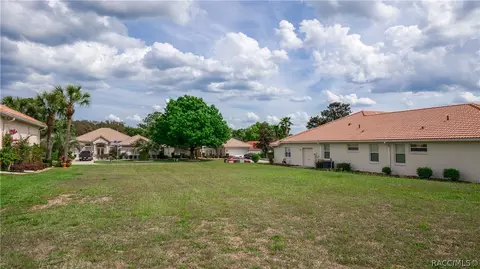 323 W Mickey Mantle Path, Hernando, FL 34442 photo 8