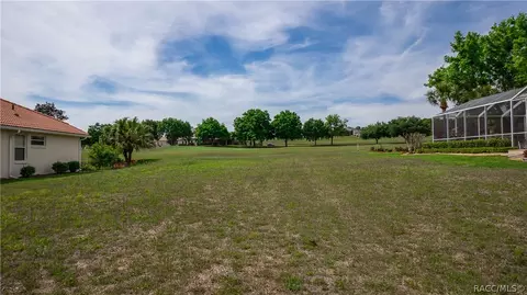 323 W Mickey Mantle Path, Hernando, FL 34442 photo 4