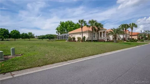 323 W Mickey Mantle Path, Hernando, FL 34442 photo 5