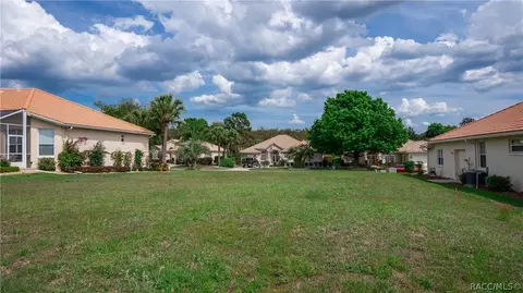 323 W Mickey Mantle Path, Hernando, FL 34442 photo 9