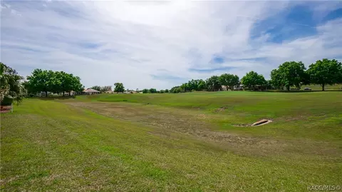 323 W Mickey Mantle Path, Hernando, FL 34442 photo 3