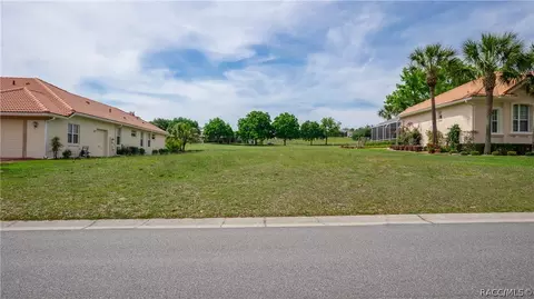 323 W Mickey Mantle Path, Hernando, FL 34442 photo 1