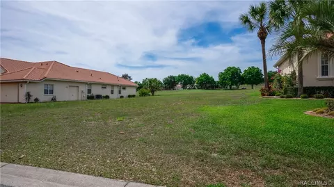 323 W Mickey Mantle Path, Hernando, FL 34442 photo 6