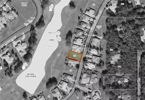 323 W Mickey Mantle Path, Hernando, FL 34442 photo 10
