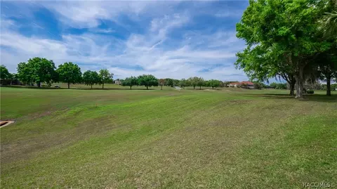 323 W Mickey Mantle Path, Hernando, FL 34442 photo 2