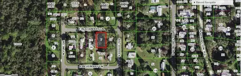 2974 E Blackberry Ln, Hernando, FL 34442 photo 8