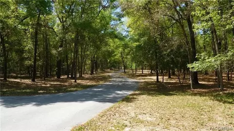 7205 N Whippoorwill Ter, Hernando, FL 34442 photo 10