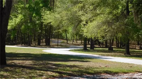 7205 N Whippoorwill Ter, Hernando, FL 34442 photo 8