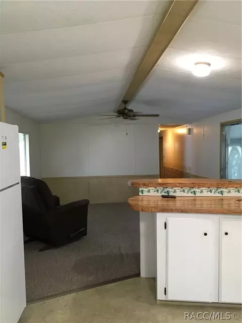 4245 E Alabama Ln, Hernando, FL 34442 photo 11