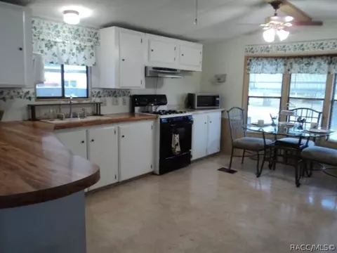 4245 E Alabama Ln, Hernando, FL 34442 photo 5