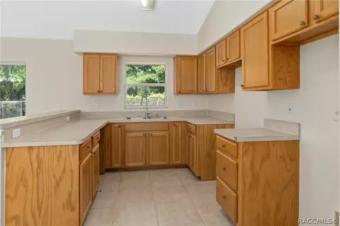 6648 N Delta Ter, Hernando, FL 34442 photo 8