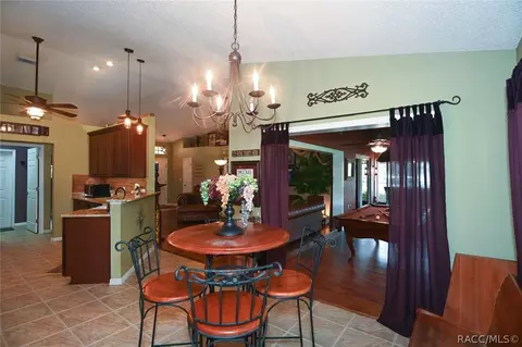 291 N Turkey Pine Loop, Lecanto, FL 34461 photo 20