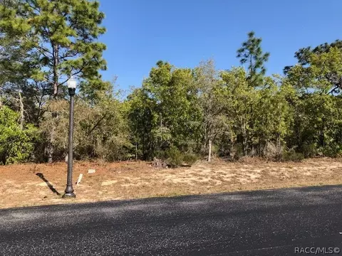3877 W Shadow Creek Loop, Lecanto, FL 34461 photo 1