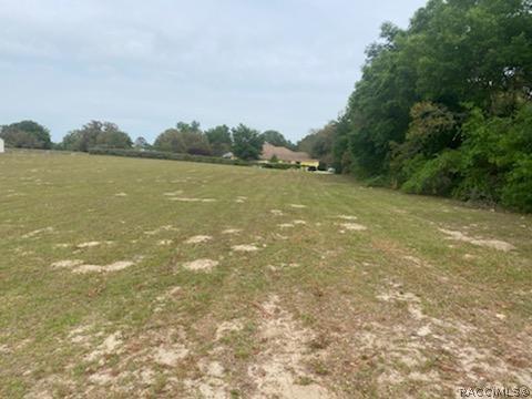 675 E Dunbar Ln, Hernando, FL 34442 photo 2