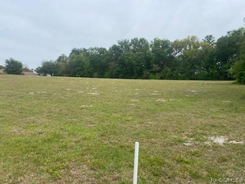 675 E Dunbar Ln, Hernando, FL 34442 photo 1