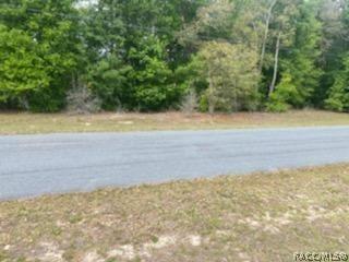 675 E Dunbar Ln, Hernando, FL 34442 photo 4