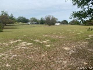 675 E Dunbar Ln, Hernando, FL 34442 photo 3