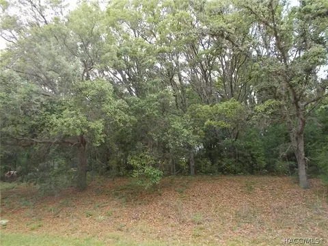 136 N Grandview Ave, Hernando, FL 34442 photo 1