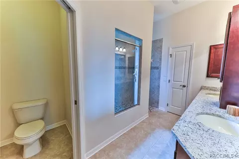 294 W Climbing Ivy Ct, Hernando, FL 34442 photo 22