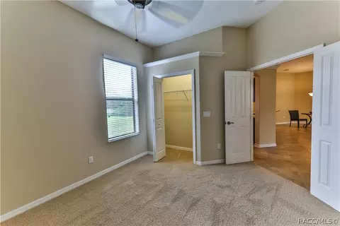 294 W Climbing Ivy Ct, Hernando, FL 34442 photo 23