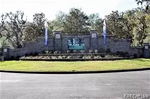 294 W Climbing Ivy Ct, Hernando, FL 34442 photo 29
