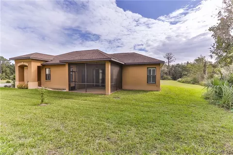 294 W Climbing Ivy Ct, Hernando, FL 34442 photo 3