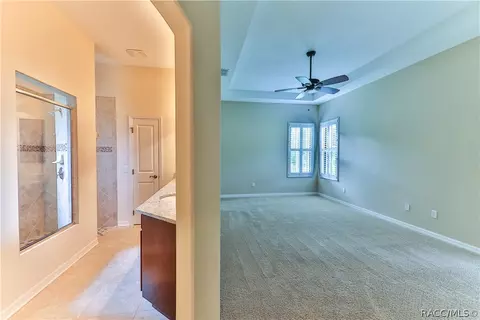 294 W Climbing Ivy Ct, Hernando, FL 34442 photo 18