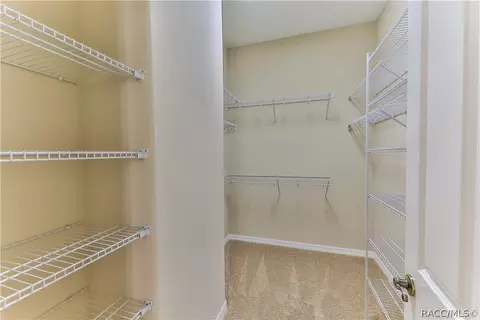 294 W Climbing Ivy Ct, Hernando, FL 34442 photo 19