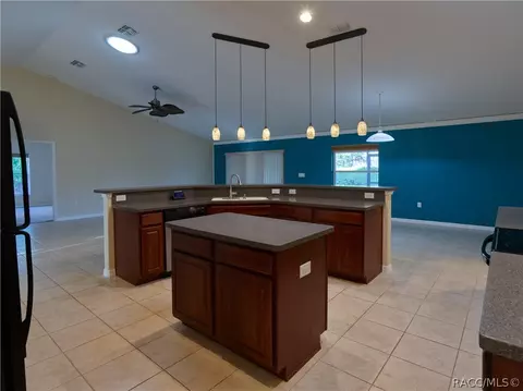 2856 N Eisenhower Ave, Hernando, FL 34442 photo 5