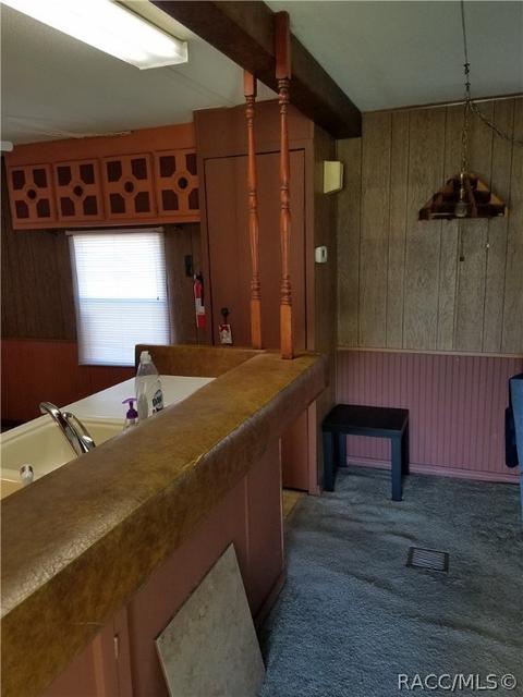 4524 N Canoe Ter, Hernando, FL 34442 photo 15