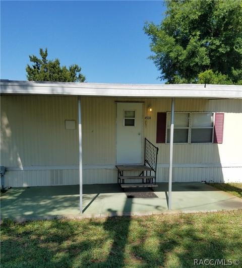 4524 N Canoe Ter, Hernando, FL 34442 photo 14